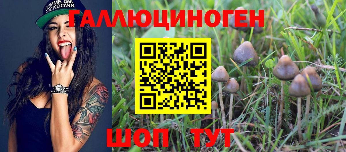 Галлюциногенные грибы прущие грибы Унеча